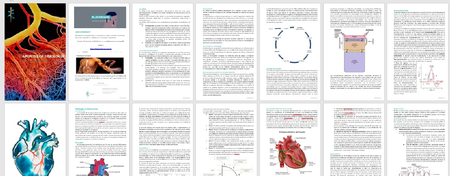 Apuntes de fisiología FisioMedic 2016 Da clic en la imagen para descargar el archivo .pdf